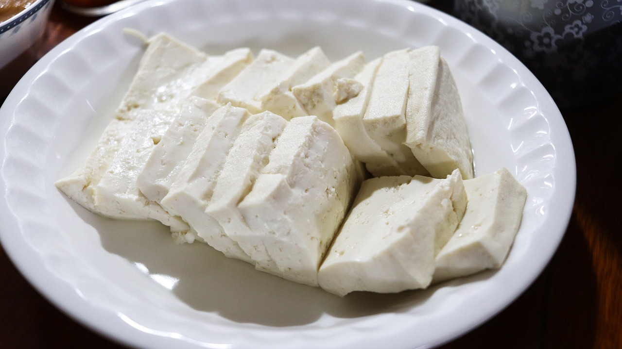 https://americanfood.krystynmoon.org/wp-content/uploads/2023/12/tofu-4081697_1280-1.jpg